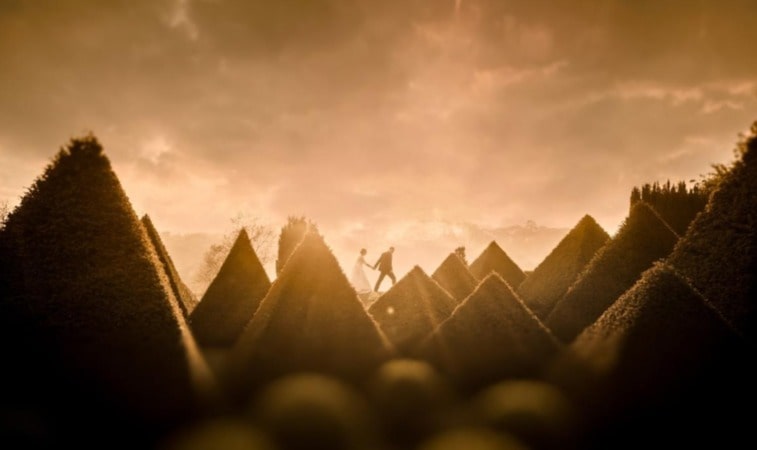 Him and Her Wedding Photography